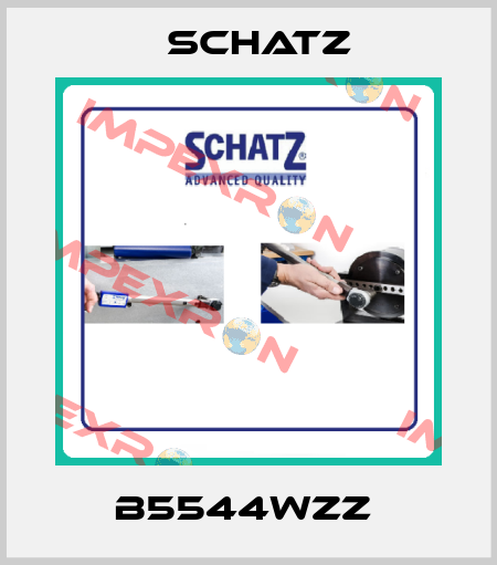 B5544WZZ  Schatz