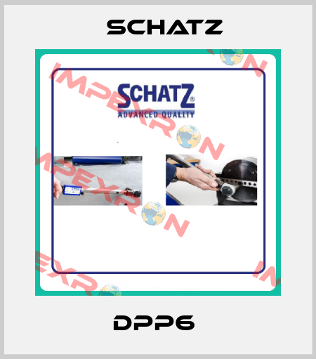 DPP6  Schatz