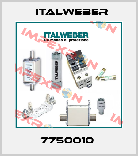 7750010  Italweber