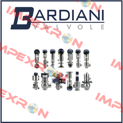 BBZK DN65-l SS VITON 316 LIN SE NO  Bardiani Valvole