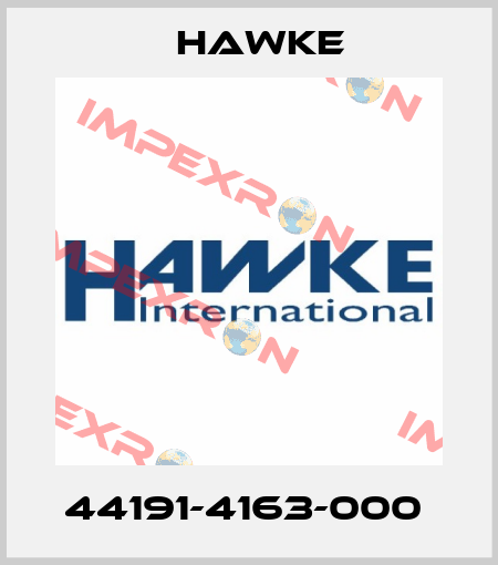 44191-4163-000  Hawke