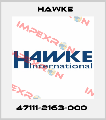 47111-2163-000  Hawke