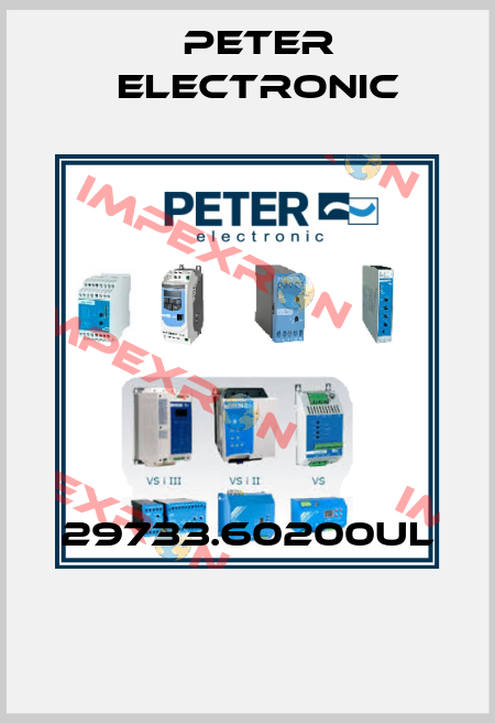 29733.60200UL  Peter Electronic