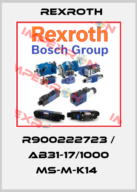 R900222723 / AB31-17/1000 MS-M-K14  Rexroth