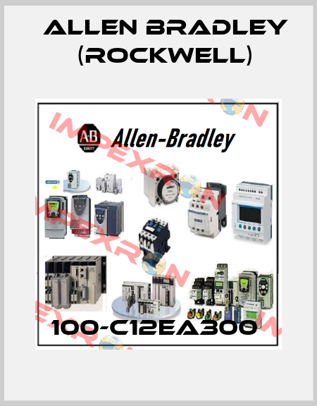 100-C12EA300  Allen Bradley (Rockwell)