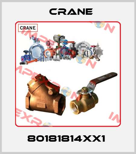 80181814XX1  Crane