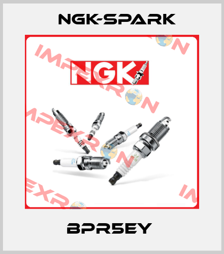 BPR5EY  Ngk-Spark