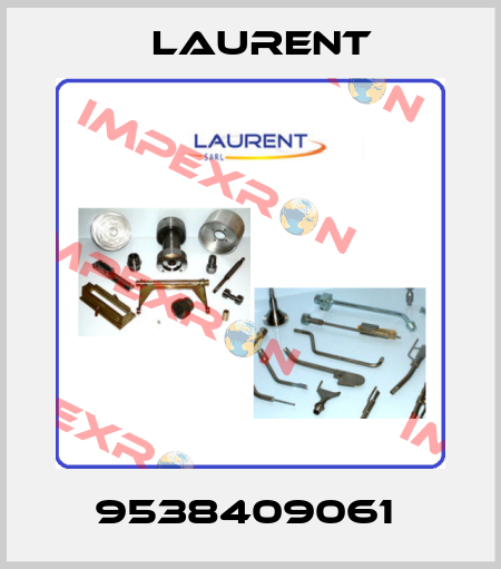 9538409061  Laurent