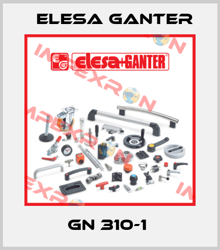 GN 310-1  Elesa Ganter
