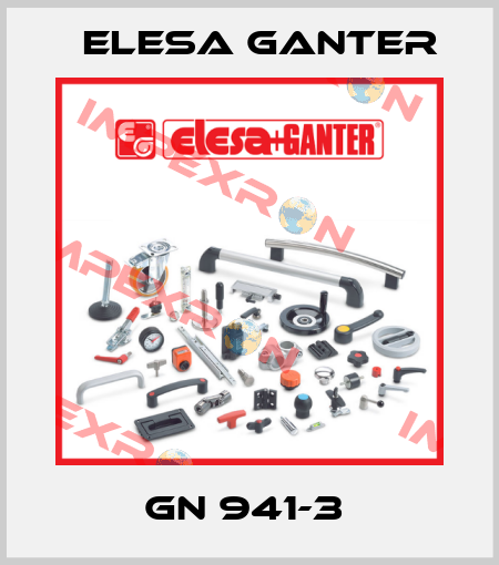 GN 941-3  Elesa Ganter