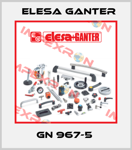 GN 967-5  Elesa Ganter