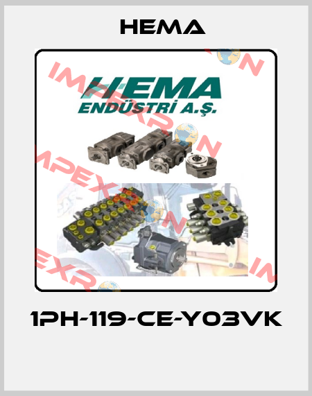 1PH-119-CE-Y03VK  Hema