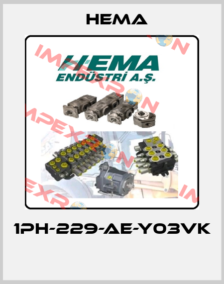 1PH-229-AE-Y03VK  Hema