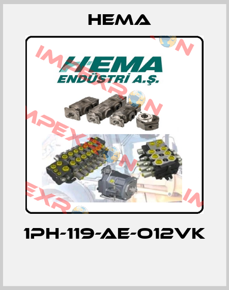 1PH-119-AE-O12VK  Hema