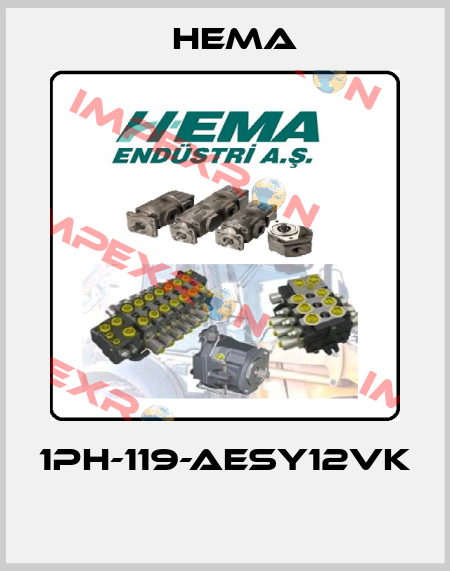 1PH-119-AESY12VK  Hema