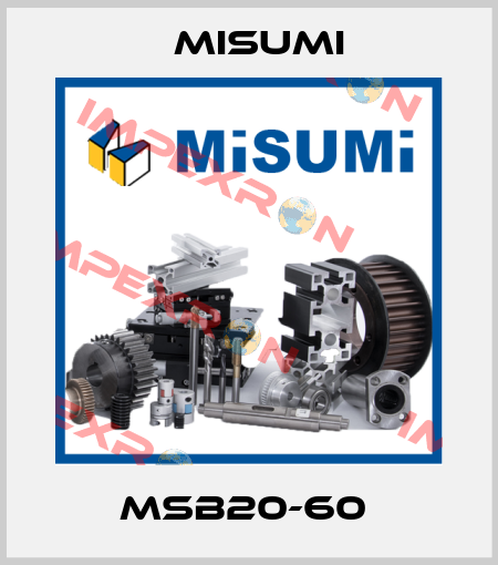 MSB20-60  Misumi