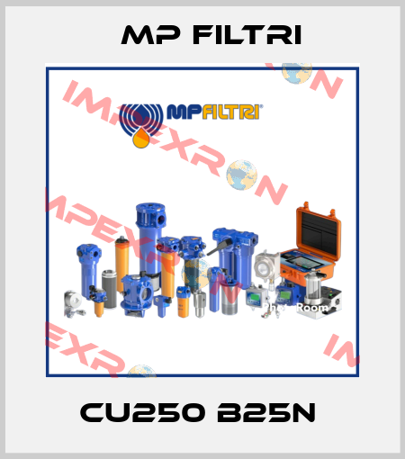 CU250 B25N  MP Filtri