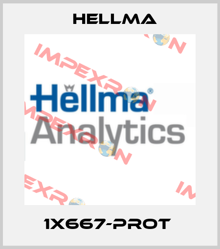 1X667-Prot  Hellma