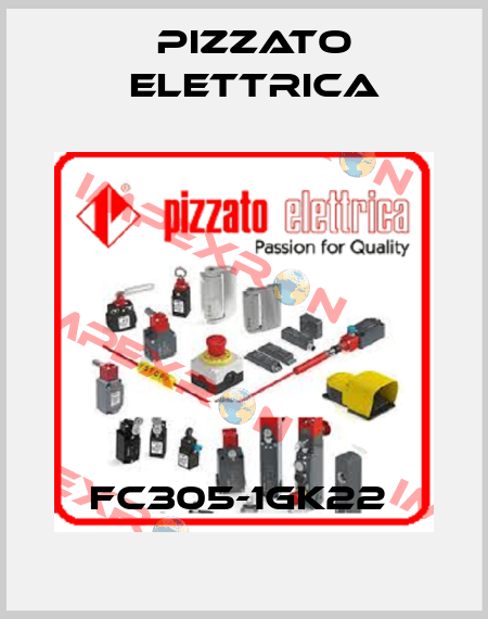 FC305-1GK22  Pizzato Elettrica