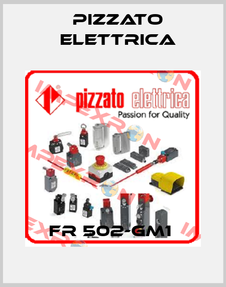 FR 502-GM1  Pizzato Elettrica