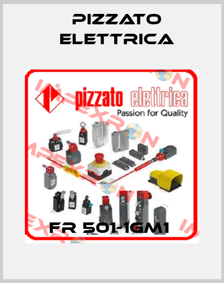 FR 501-1GM1  Pizzato Elettrica