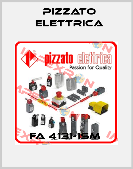 FA 4131-1SM  Pizzato Elettrica