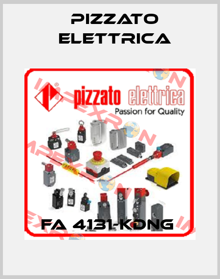 FA 4131-KDNG  Pizzato Elettrica