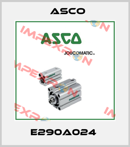 E290A024  Asco