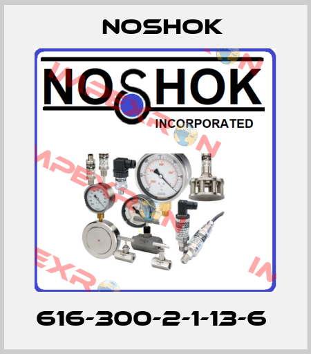 616-300-2-1-13-6  Noshok