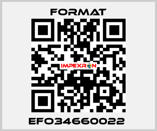 EFO34660022  Format