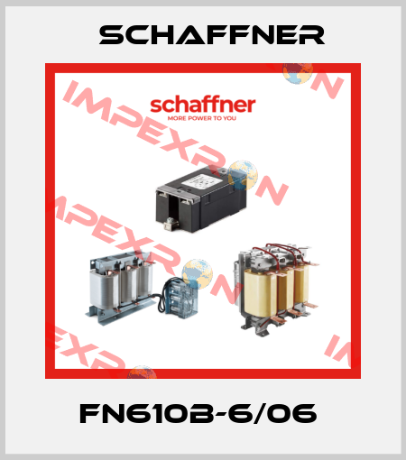 FN610B-6/06  Schaffner