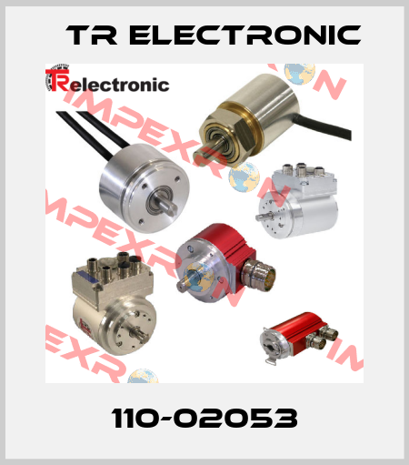 110-02053 TR Electronic