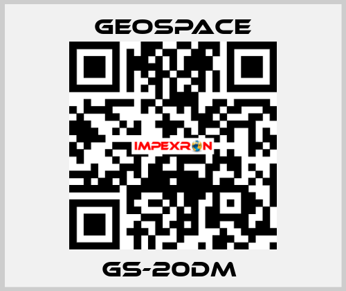 GS-20DM  GeoSpace