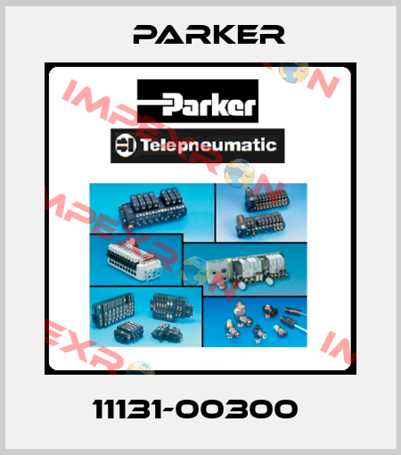 11131-00300  Parker