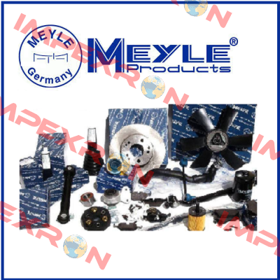 1130110036 OIL PUMP Meyle