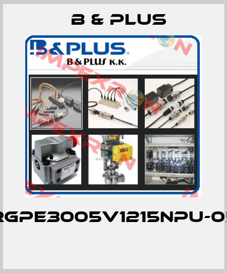 RGPE3005V1215NPU-05  B & PLUS