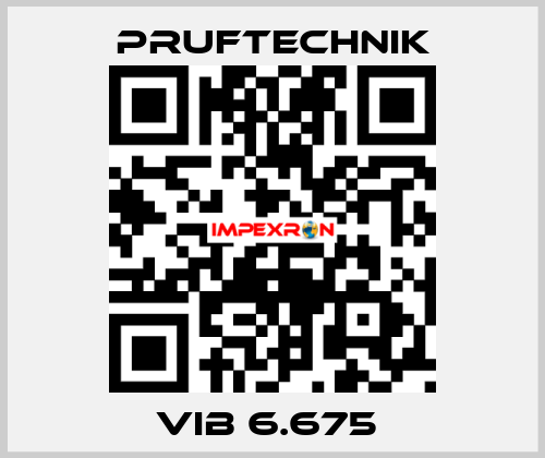 VIB 6.675  Pruftechnik