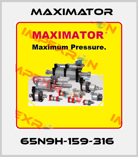 65N9H-159-316  Maximator