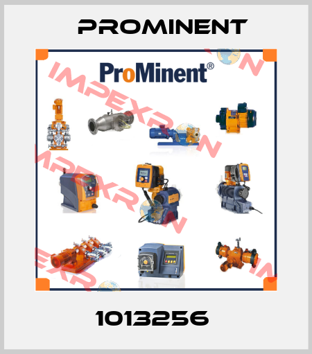 1013256  ProMinent