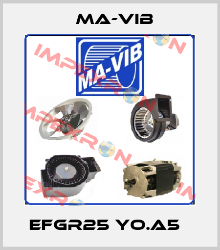 EFGR25 yo.A5   MA-VIB