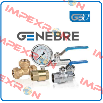 DN25 A105 CL1500 Genebre