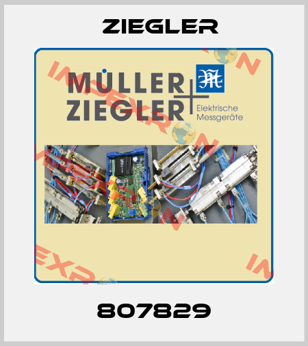 807829 Ziegler