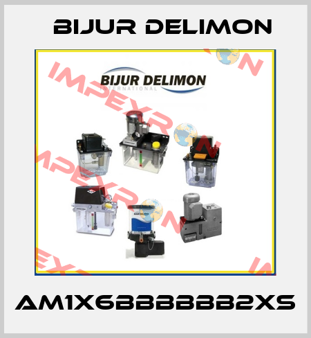 AM1X6BBBBBB2XS Bijur Delimon