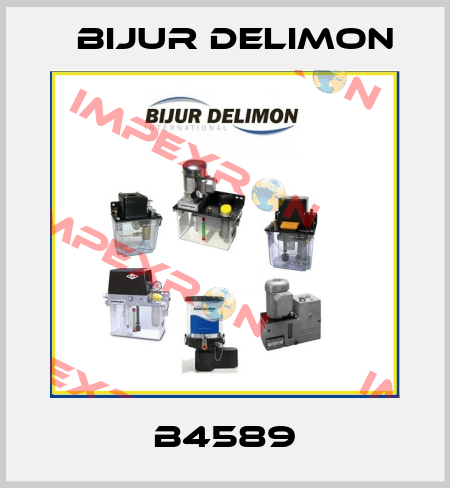 B4589 Bijur Delimon