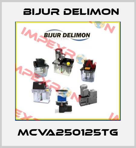 MCVA250125TG Bijur Delimon