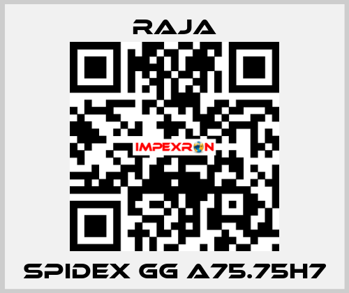 SPIDEX GG A75.75H7 Raja