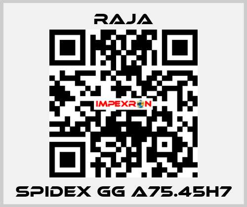 SPIDEX GG A75.45H7 Raja