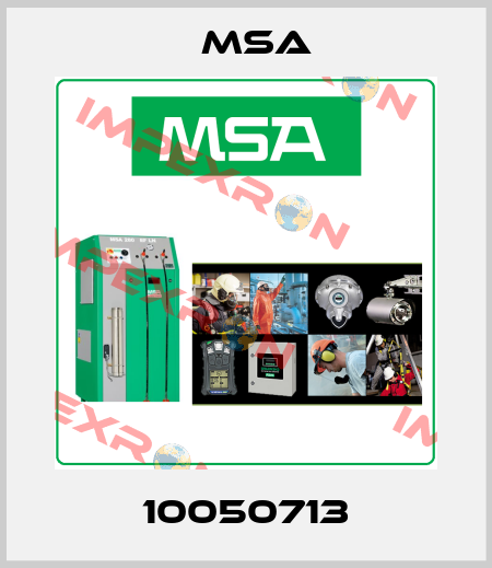 10050713 Msa