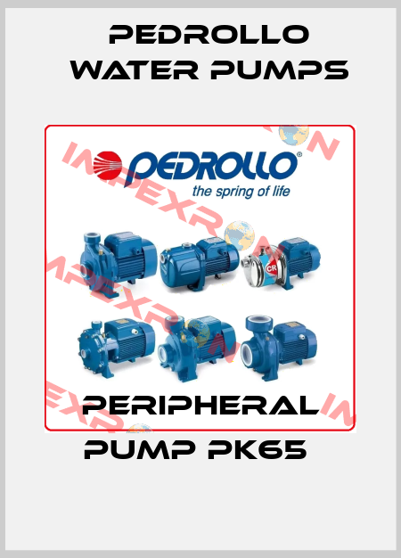 PERIPHERAL PUMP PK65  Pedrollo Water Pumps