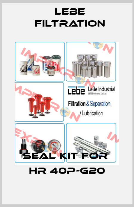 Seal kit for  HR 40P-G20 Lebe Filtration
